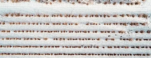 Parallel Programming in Python