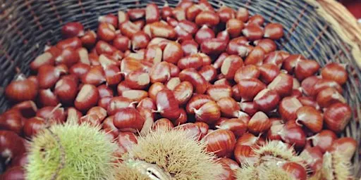 Assaggi di Mercato: CALDARROSTE DI COLLINA E VINO ROSSO DI CACCIANEMICI