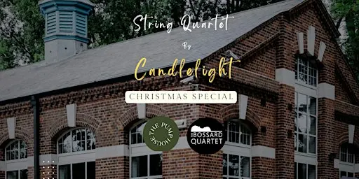 String Quartet by Candlelight in Winchester (Christmas Special!)