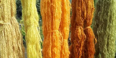 Natural Dyes Workshop