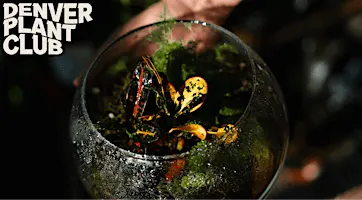 Terrarium Workshop with Denver Plant Club (10/17/26)