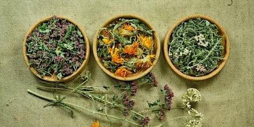 Herbal Winter Wellness