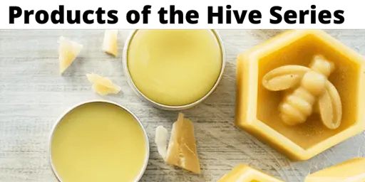 Lotion Bars | Make & Take Hands-On | In-Person