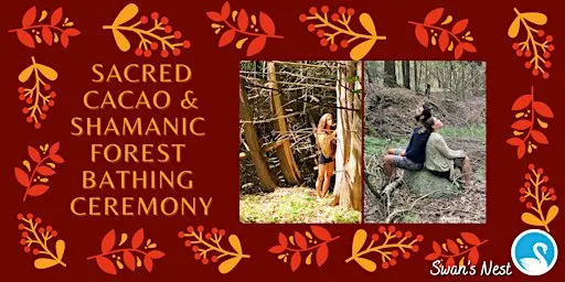 Sacred Cacao & Shamanic Forest Bathing Ceremony