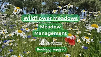 Meadow Management - Young Adult Ranger Work Experience at Mudeford Woods