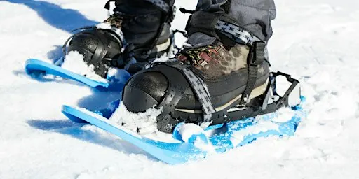 Intro to Snowshoeing (Adults & Ages 8+)
