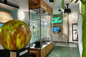 Cannabis Museum Amsterdam - Entrance Ticket