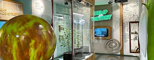 Cannabis Museum Amsterdam - Entrance Ticket