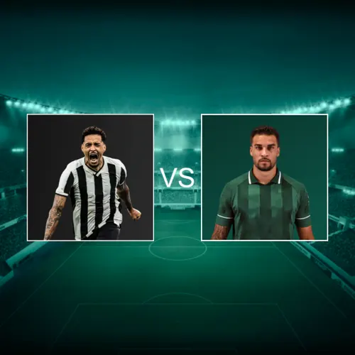 Botafogo De Futebol E Regatas Vs Associacao Chapecoense De Futebol Campeonato Brasileiro Serie A