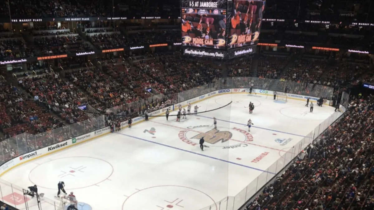 Anaheim Ducks vs. Florida Panthers