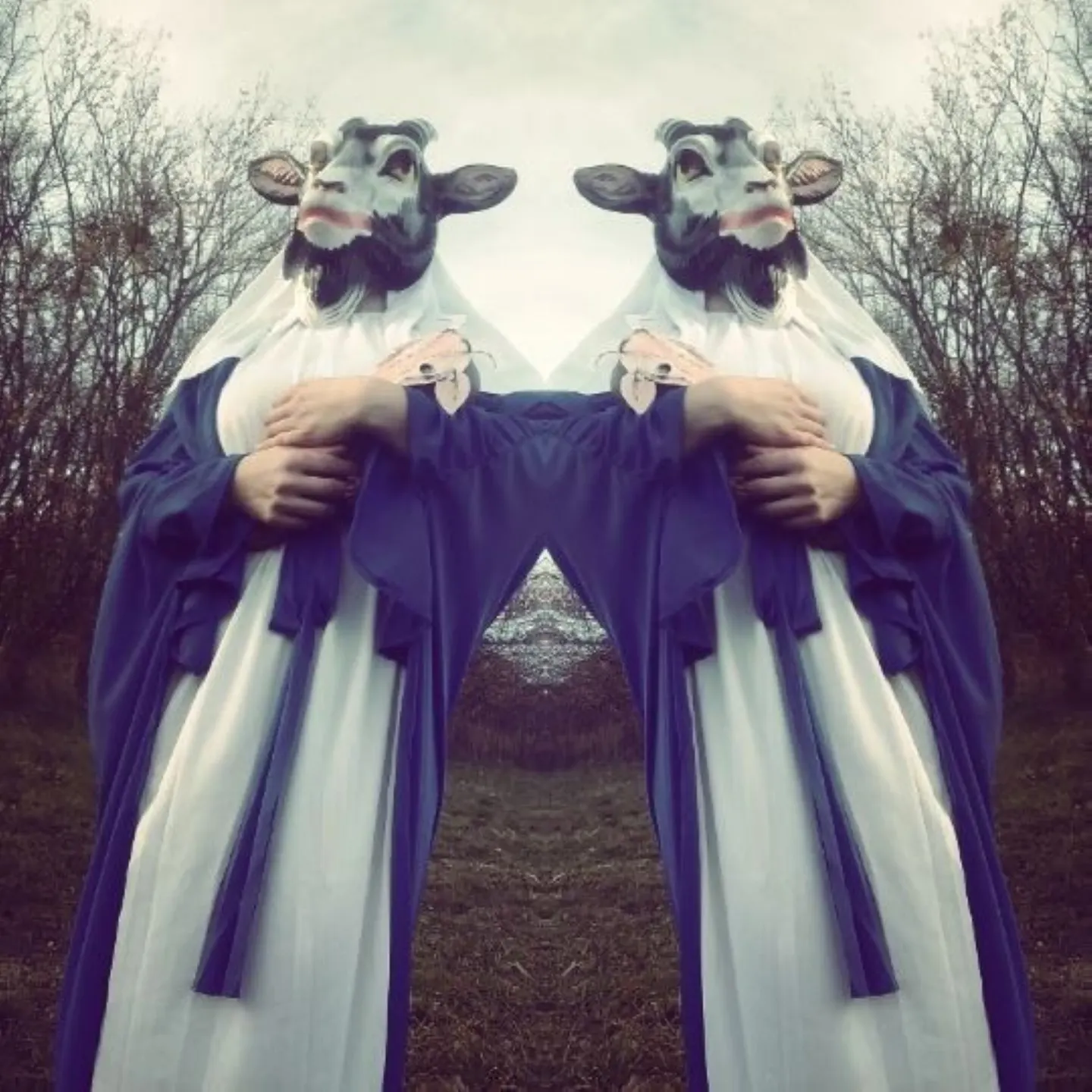 THE DEVIL & THE UNIVERSE