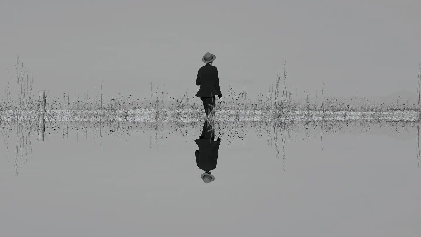 The Veils