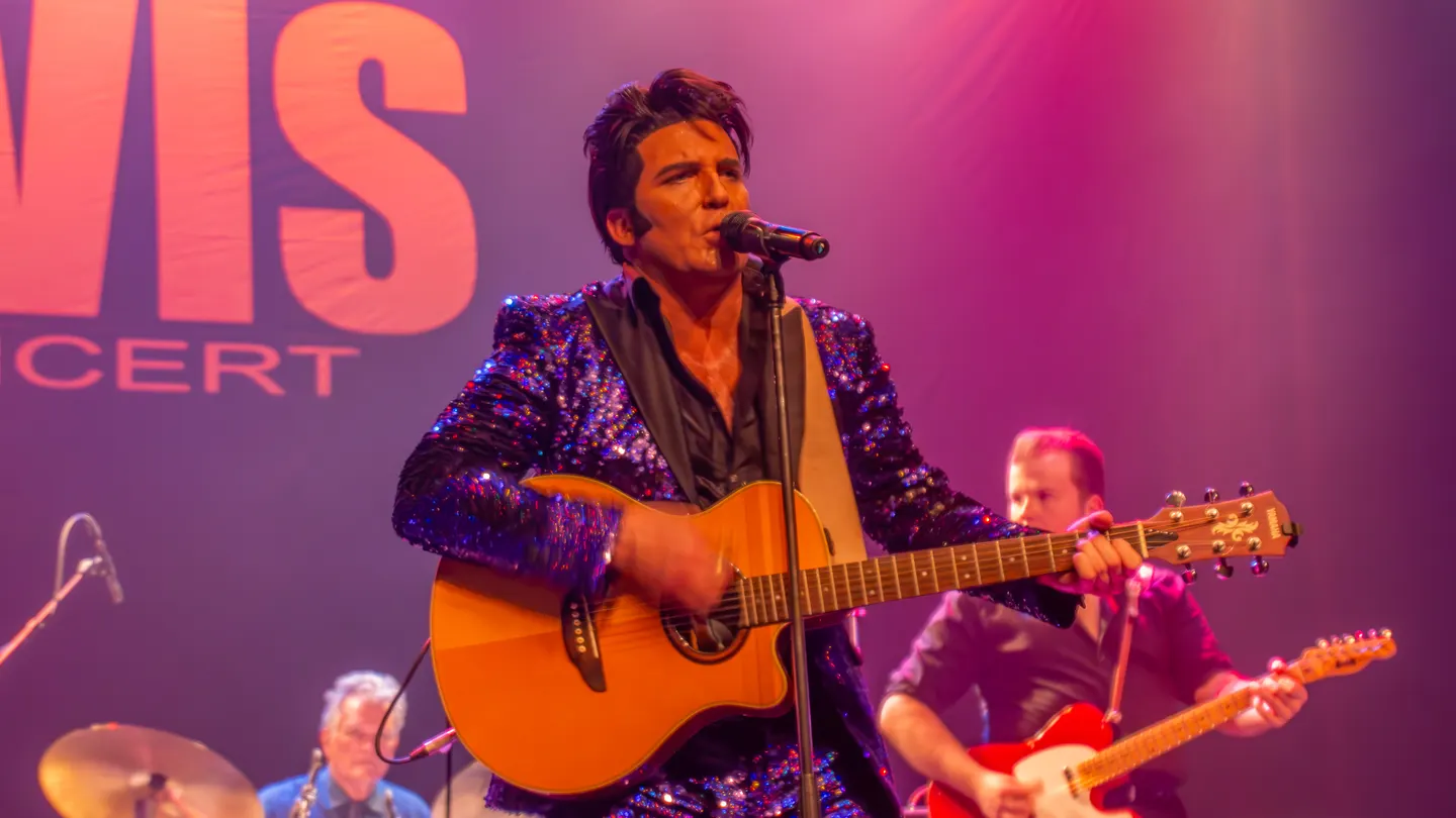 The Elvis Concert