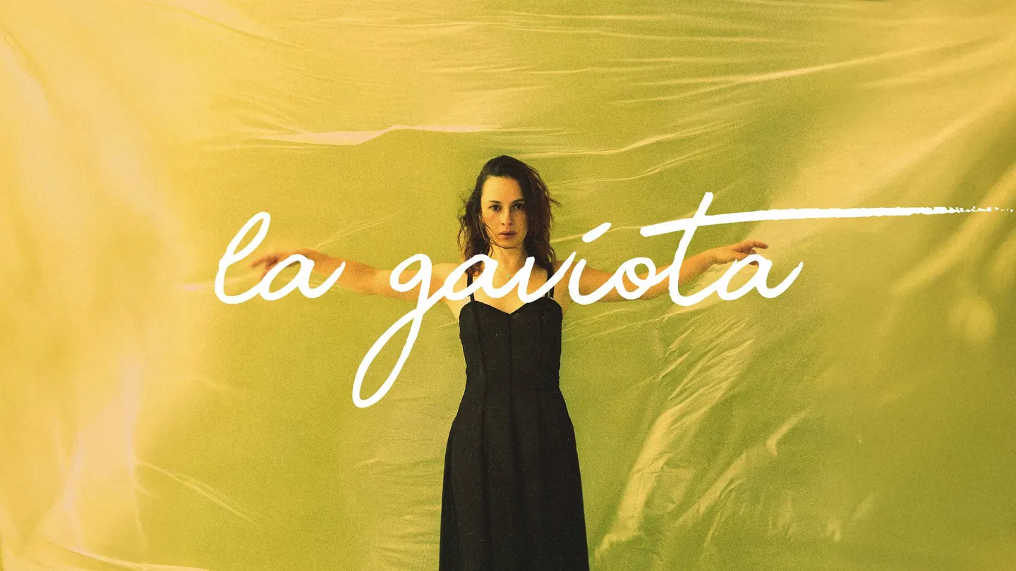 La Gaviota