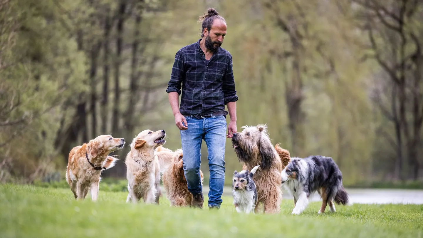 Sami El Ayachi - Der zugewandte Hund!