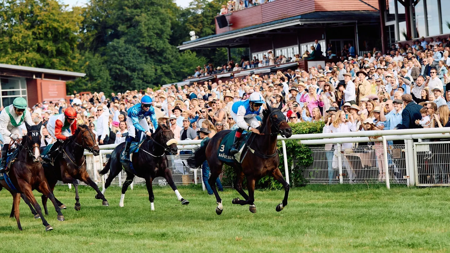 AUTUMN RACING