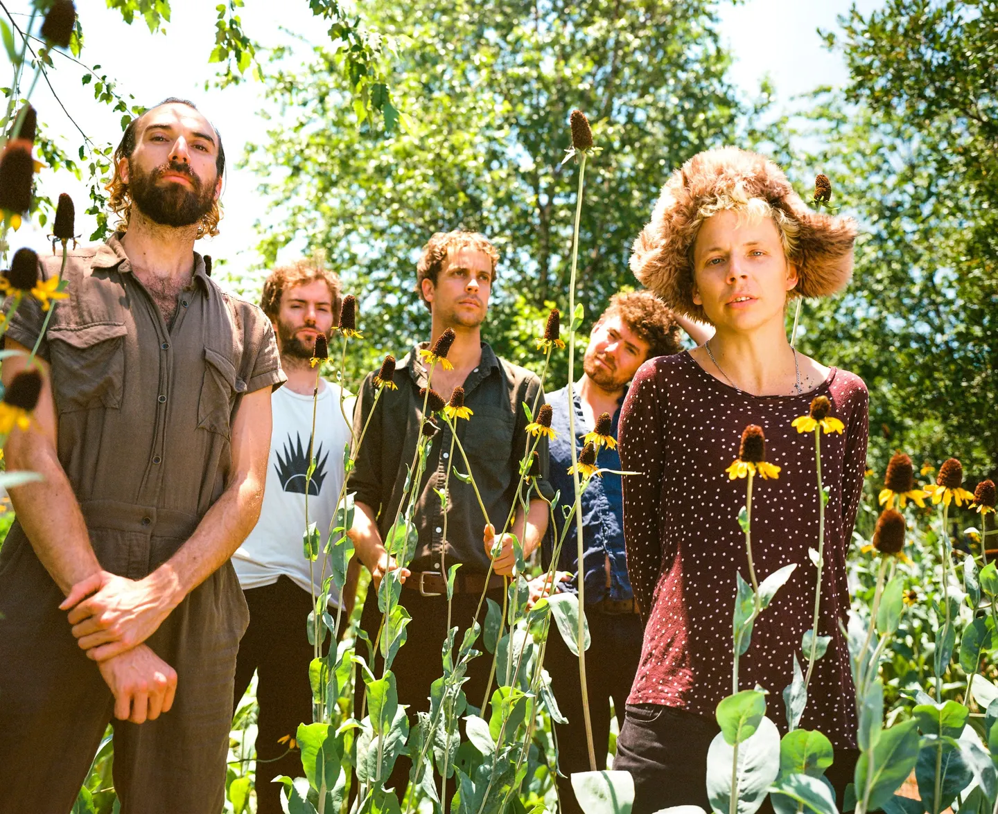 Pond – Terrestrials Tour