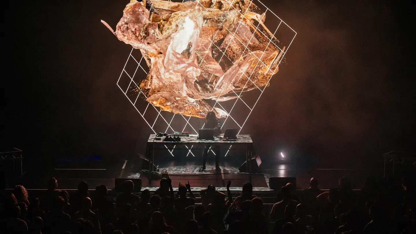 Halina Rice - Immersive A/V Show