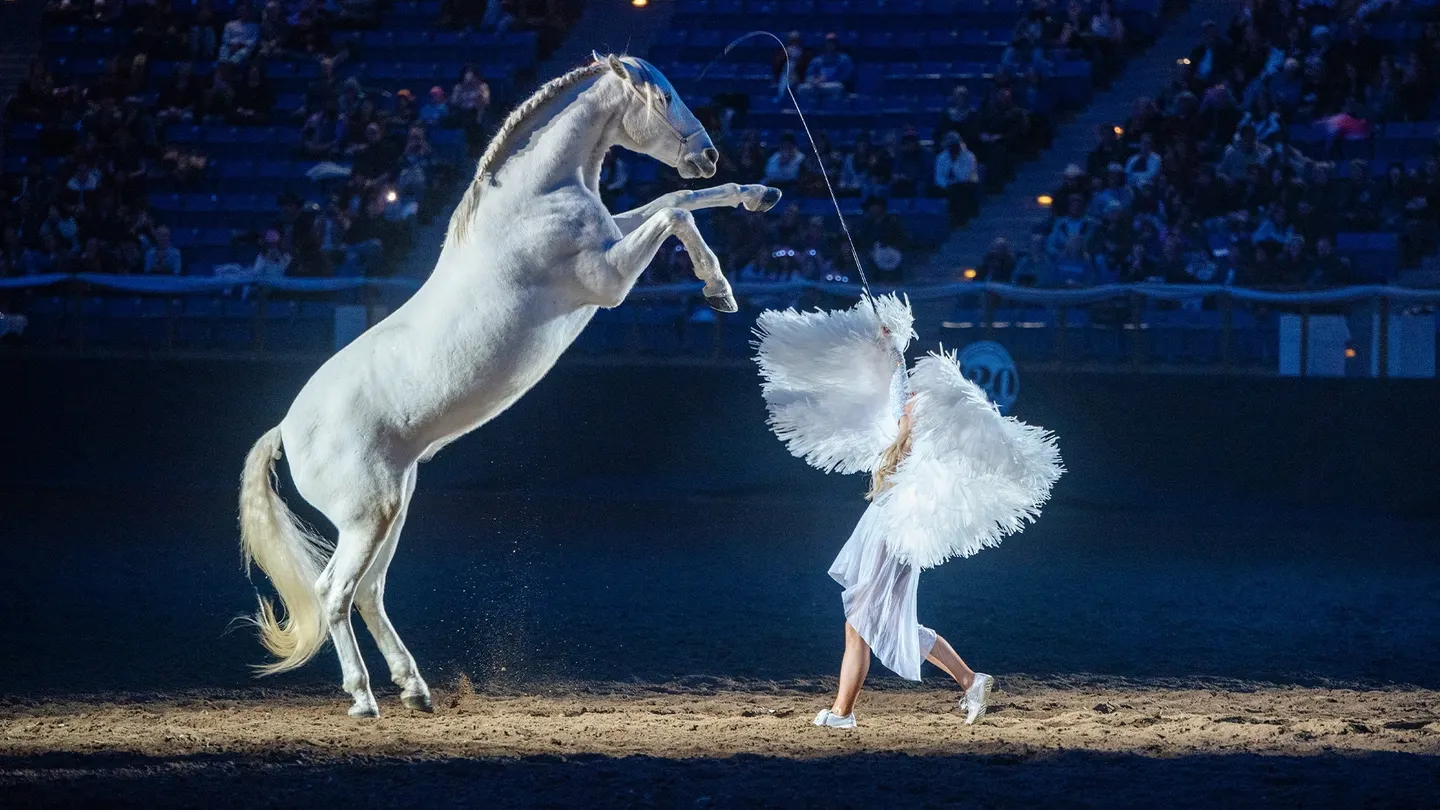 An Evening of Dancing Horses presented by 9News - Thur. Jan. 21 7pm