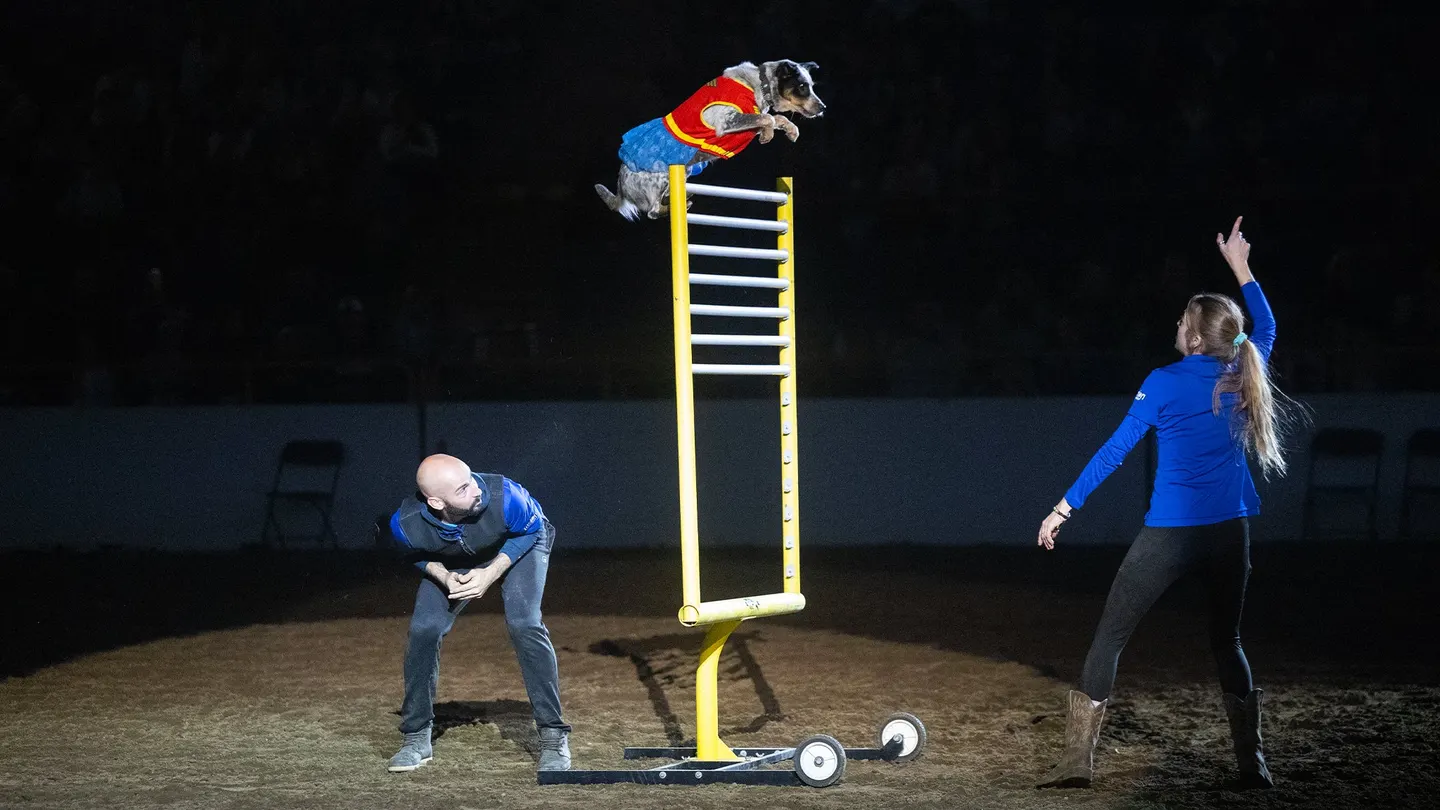 Xtreme Dogs - Sat. Jan. 16 6:30pm