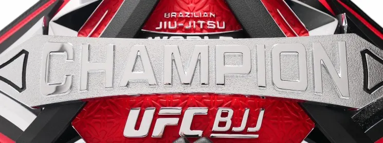 UFC BJJ #14