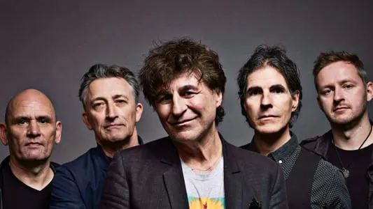 The Chameleons