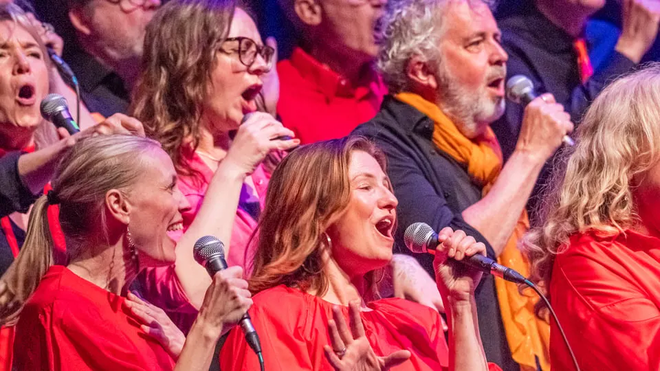 Rejoice Gospel Christmas
