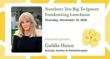 Numbers Too Big To Ignore Luncheon