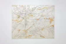 Timothy Bergstrom: Chiroforms