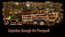 Deer Springs Winery presents Harvest Vineyard Hayrides