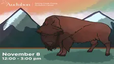We are the Buffalo and the Buffalo are Us
