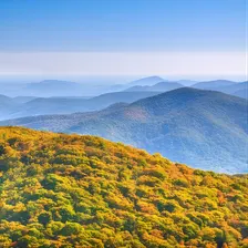 Half-Day Wine Tastings in the North Georgia Mountains