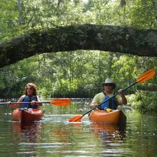 Lofton Creek Kayaking Trip with Professional Guide