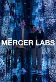 Mercer Labs: Museum of Art and Technology