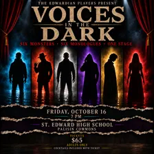 Voices In The Dark