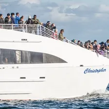 Long Beach: Whale and Dolphin Watching Cruise