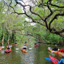 Half day kayak and paddle board rentals on the scenic Dora Canal