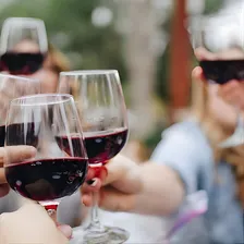 North Georgia Wine Country Tour from Atlanta