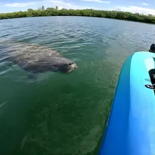Lido Key Pedal Kayak Tour in Sarasota
