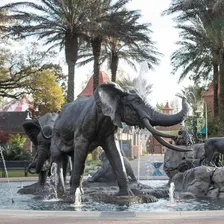 Audubon Zoo: Entry Ticket