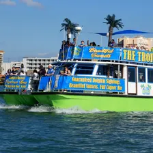 Clearwater: Guided Dolphin Exploration Cruise