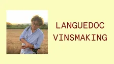 Languedoc vinsmaking: “Den nye verden i den gamle verden”