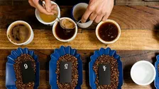 Kaffeprovning