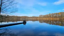 Bidstrup Skovene og Skjoldenæsholm