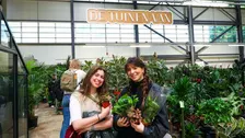 De Tuinen Van yard sale