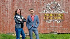 Akustisk Diagnose / Folkets Pub
