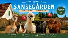 Entre Sansegården