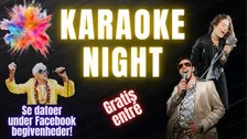 Karaoke Night på 28 Live i Roskilde