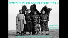 Hvem pukler kamelerne for?