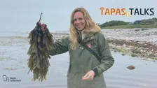 TAPAS'n'TALKS: Smag på havet